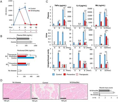 Multiple site inflammation and acute kidney injury in crush syndrome